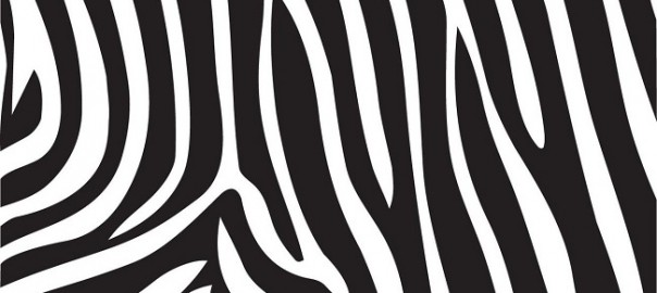 Zebra_Print
