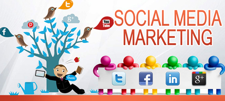 Exclusive Social Media Marketing Tools for Novice Business Owners