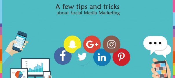 camelia-blog-social-media-marketing