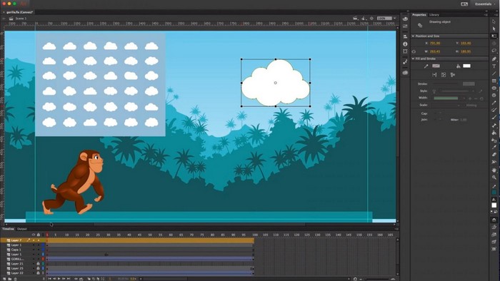 Flash Animation
