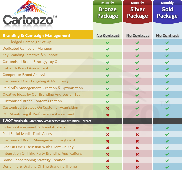 Cartoozo Branding  Package Details
